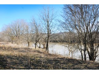 Tract 19 - White River Frontage - REAL ESTATE AUCTION - 1,013 ACRES IN 21 TRACTS IN MARTIN COUNTY, INDIANA